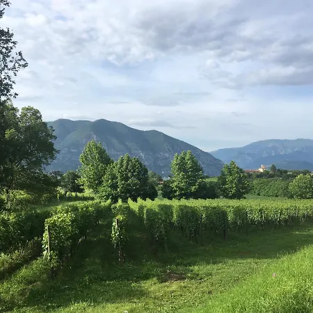 Apartment Punta D'oro With Garden, Parking Place And Access At 300 M *