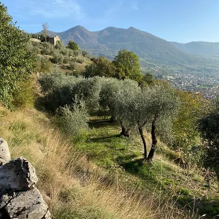 Punta D'oro With Garden, Parking Place And Access At 300 M Iseo