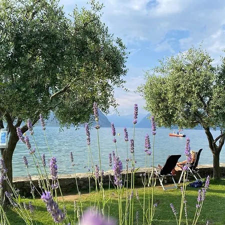 Punta D'oro With Garden, Parking Place And Access At 300 M Iseo