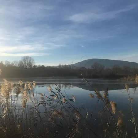Punta D'oro With Garden, Parking Place And Access At 300 M Iseo